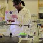 Building an antiracist lab: Scientists offer steps to take action now